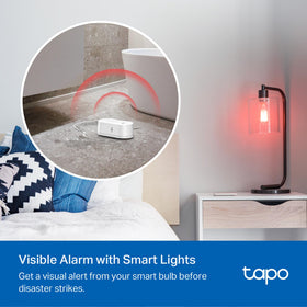 Tapo T300 IP67 rating guards against water and dust hazards.