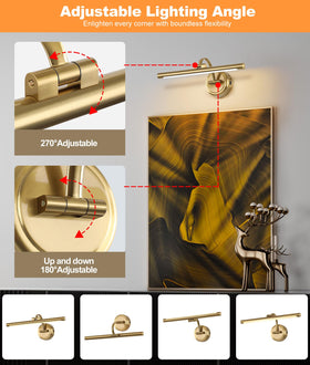 Tassuowell brass picture light with remote control for easy light changes
