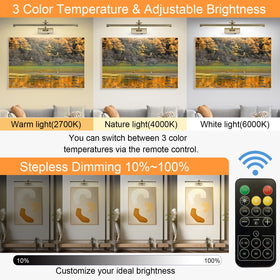 Tassuowell cordless, battery-powered picture light for wiring-free setup.
