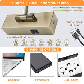 Tassuowell LED Picture Light antique bronze finish enhances wall aesthetics