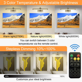 Tassuowell LED Picture Light 180-degree swing arm for precise artwork lighting