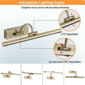 Tassuowell LED Picture Light rotatable lamp tube for flexible illumination