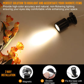 Taysing LED spot light illuminates plants with even, warm glow.
