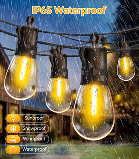 TBOSW close-up of bulbs highlights durable LED design for outdoor use.