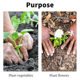 TCBWFY cordless drill use shows quick planting in minutes