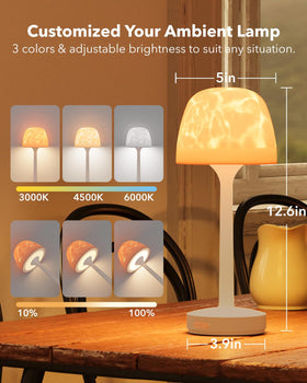 Tedmos portable patio light for outdoor dinners.