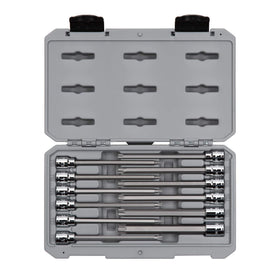 TEKTON 3/8 in drive long Torx sockets in case for organized storage and quick access.