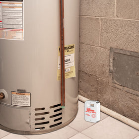 The Basement Watchdog BW-WA360 emits a piercing 110 dB alarm throughout the house.
