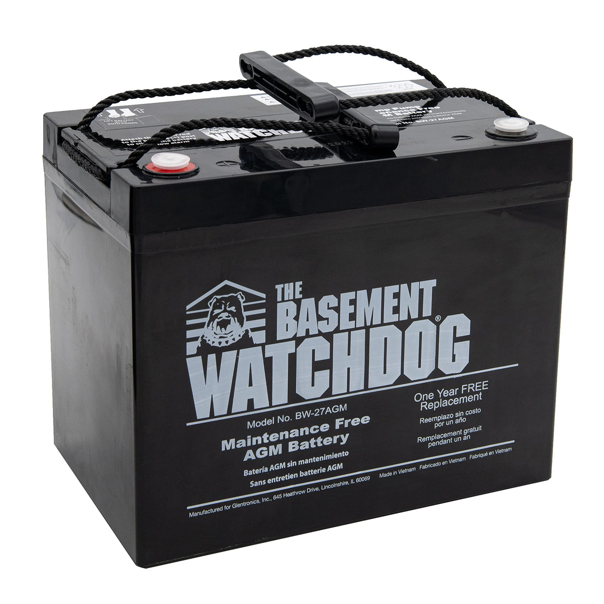 The Basement Watchdog maintenance-free AGM battery eliminates daily fluid checks for backups.