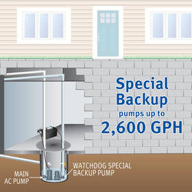 The Basement Watchdog Special Connect dual float switch enables reliable water-triggered backups.