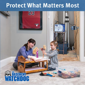 The Basement Watchdog system alerts with visual indicators and audible alarms