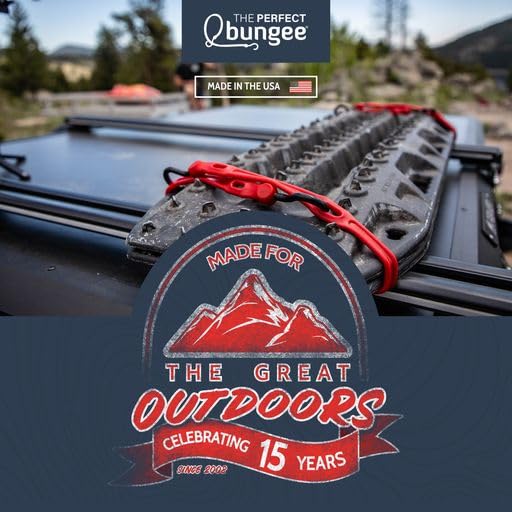 The Perfect Bungee attached to a truck bed securing cargo