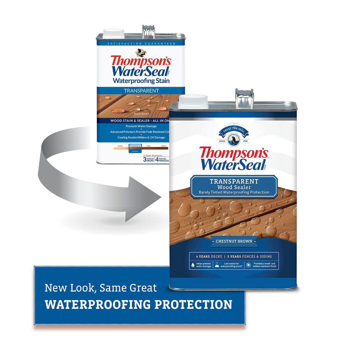 Chestnut color close-up highlights rich, translucent tone while preserving wood texture.