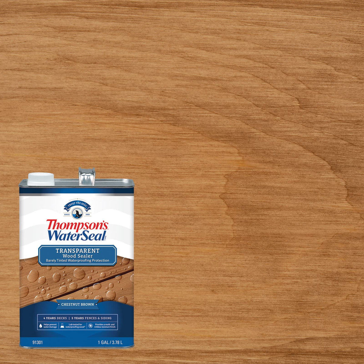Thompson's deck and fence application demonstrates smooth, even coverage for durable protection.