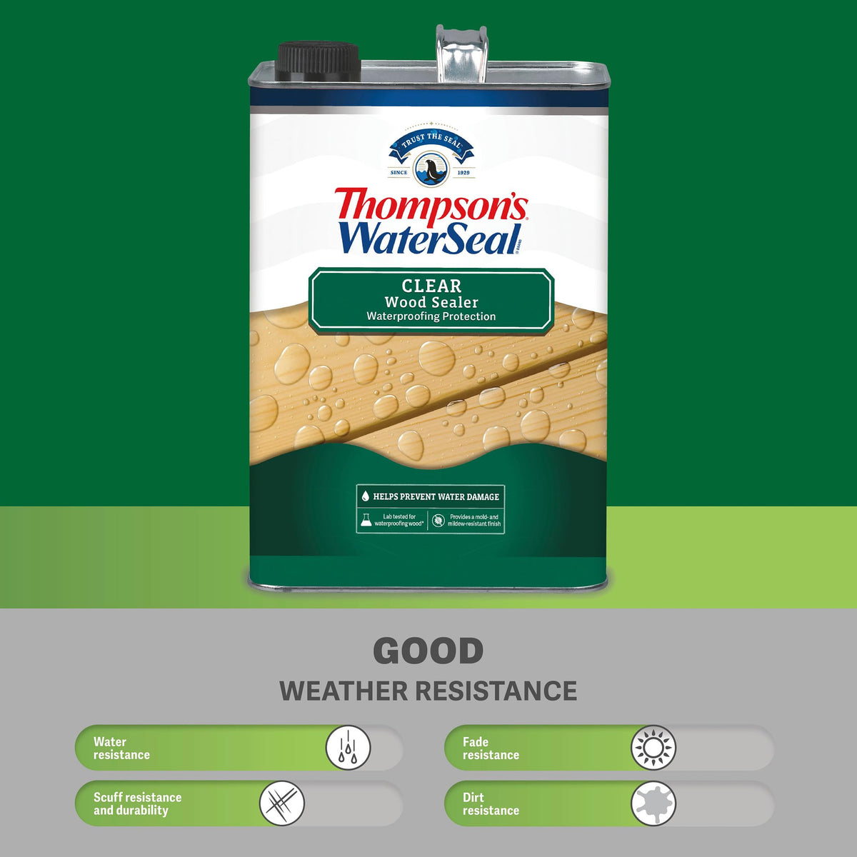 Thompson's WaterSeal on a deck demonstrating natural color retention after sealing