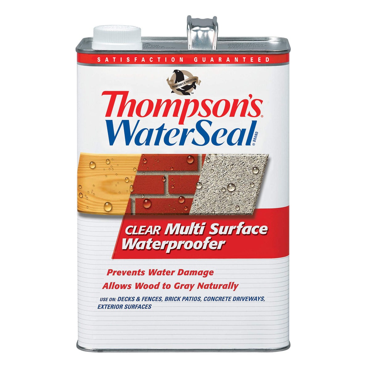 Thompson's WaterSeal Clear Stain bottle; enhances natural wood color and outdoor protection.