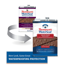 Thompson's WaterSeal hide-grain-wood-texture close-up with protective waterproofing for outdoor use.