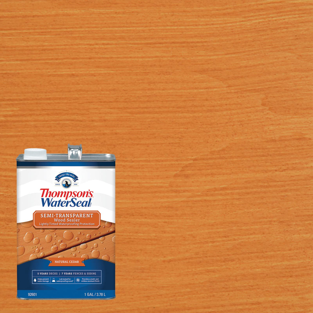 Thompson’s WaterSeal on deck and fence reveals texture with fade-resistant color