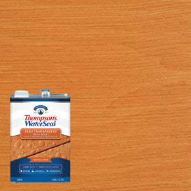 Thompson’s WaterSeal on deck and fence reveals texture with fade-resistant color