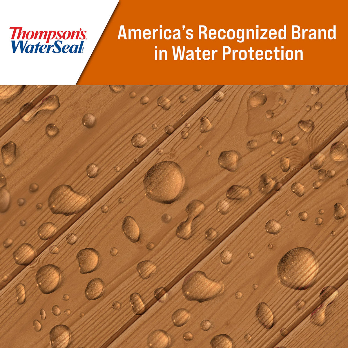 Thompson’s WaterSeal finish shown on new deck or refinished fence for protection and color.