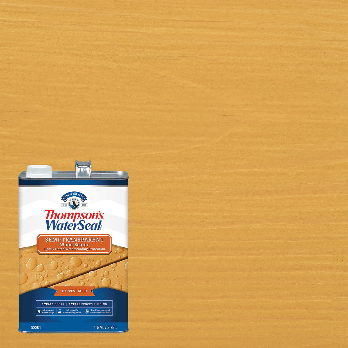 Thompson’s WaterSeal on a fence demonstrates durable waterproofing for exterior wood.
