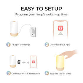 Tikkitouch programmable timers and weather display supporting daily routines