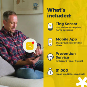 Ting Fire notification on a smartphone delivers 24/7 hazard alerts.