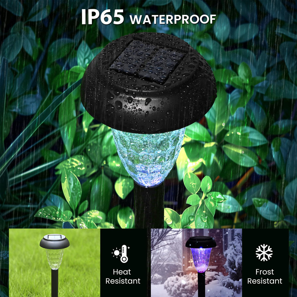 TISEJOY dusk-to-dawn solar lights automatically illuminate as daylight fades.