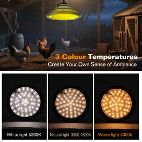 Tiyiawi IP66 weatherproof design withstands rain and dust outdoors.