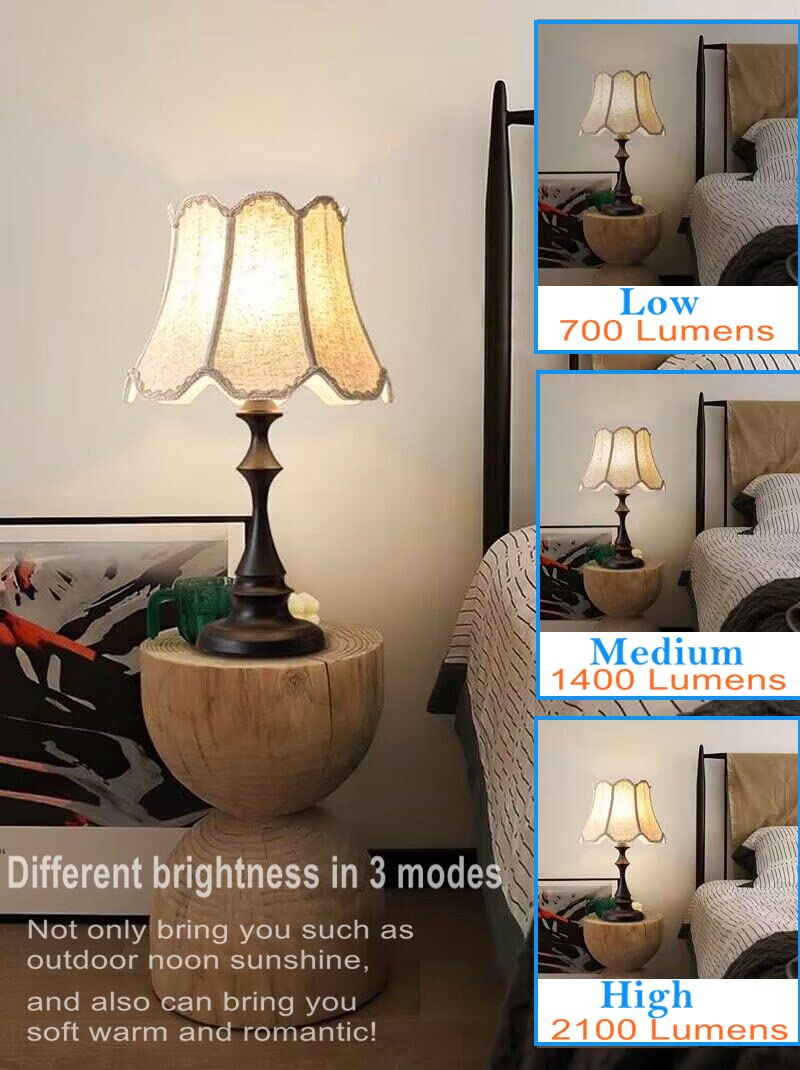 TJBB 3-Way LED bulb in lamp setup for versatile brightness.