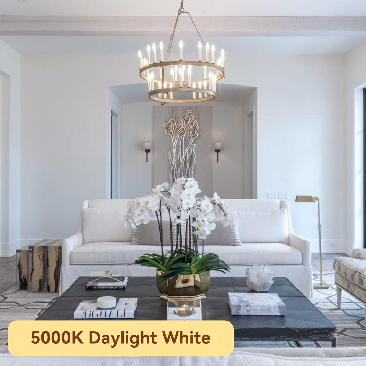 TJOY 5000K daylight glow for clear visibility in living spaces