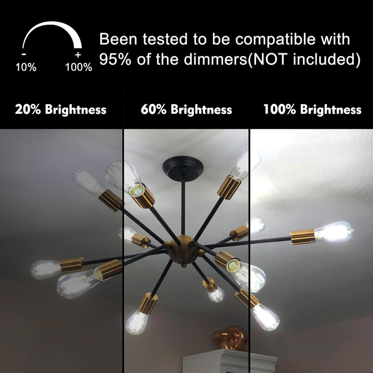 TJOY 5000K daylight LED bulb offers crisp color and easy reading light.