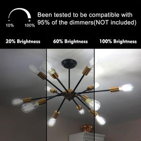 TJOY 5000K daylight LED bulb offers crisp color and easy reading light.