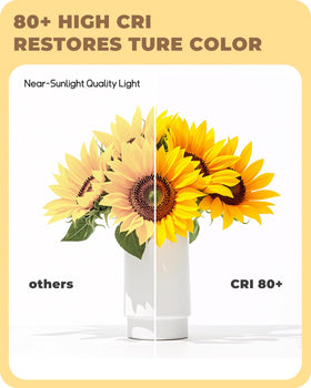 TJOY E12 base LED bulb easily installs into chandeliers and sconces.