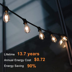 TJOY Edison bulbs deliver 800 lumens from 8W for energy efficiency.
