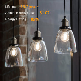 TJOY long-life Edison bulb designed for low maintenance
