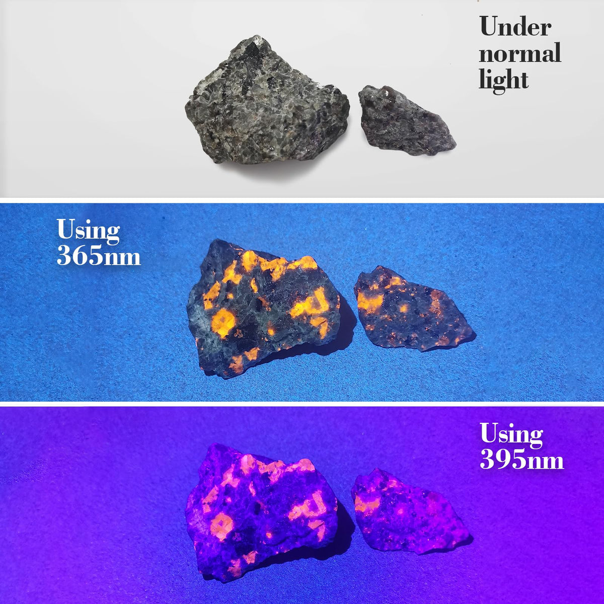 TNATRA UV365nm reveals stains on carpets and fabrics.