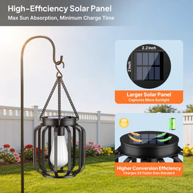 TomCare lanterns are IP65 waterproof for year-round outdoor use.
