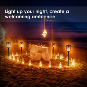 TomCare solar torch four-pack boosts curb appeal.