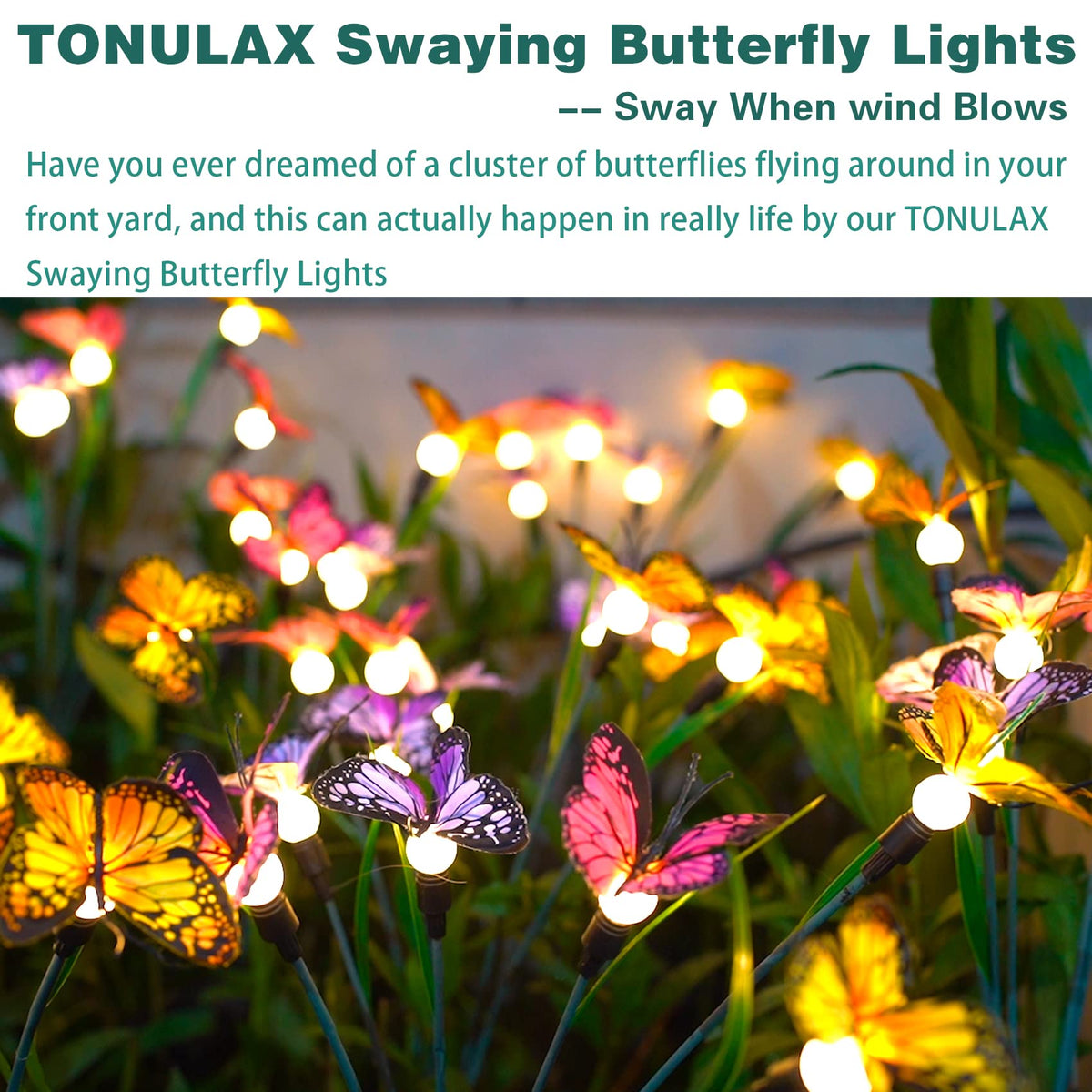 TONULAX butterfly lights illuminate yard paths with a playful decorative touch.