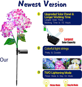 TONULAX colorful hydrangea flower lights brighten paths with vibrant color.