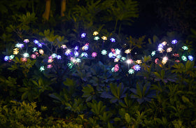 TONULAX Solar Garden Lights two-pack product shot highlighting value and flexibility.