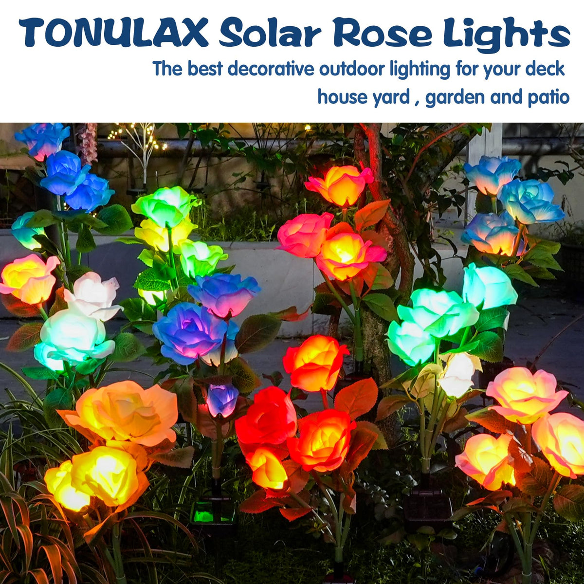 TONULAX 6-pack solar roses brighten borders and paths