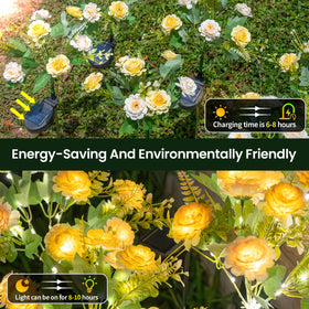 TopVelo warm white glow enhances pathways, patios, and borders.