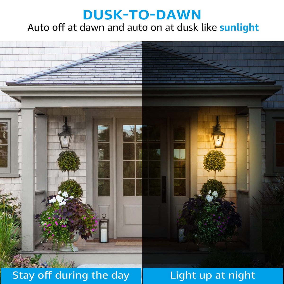 TORCHSTAR 800lm A19 LED provides bright, even illumination