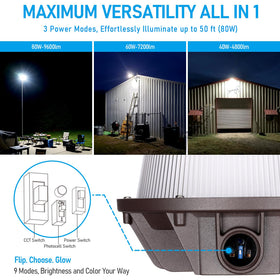 TORCHSTAR adjustable wattage 40/60/80W illuminates spaces efficiently.