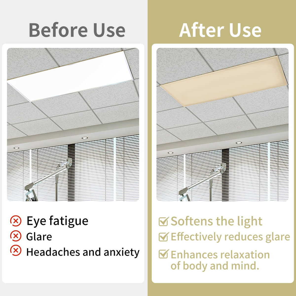 Torixqi diffused classroom light creates comfortable, glare-free learning environments.