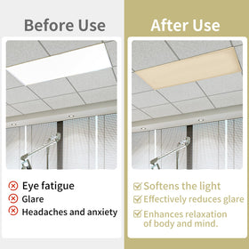 Torixqi diffused classroom light creates comfortable, glare-free learning environments.