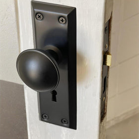 TPard strike plate and faceplate detail for precise mounting