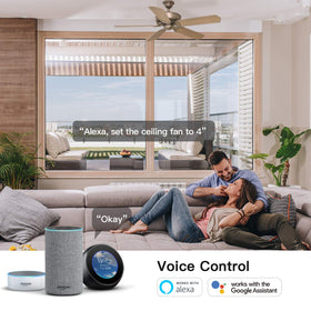 TREATLIFE Smart Fan Switch with Alexa setup indicates voice control readiness